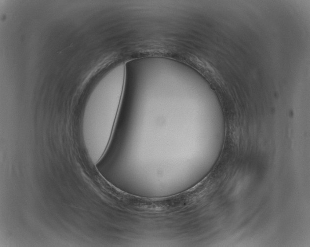 X0000083000735200702011208
