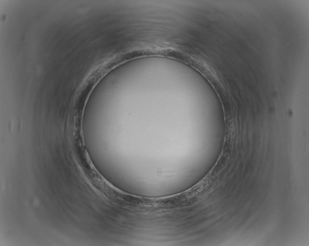 X0000083000736200702011208