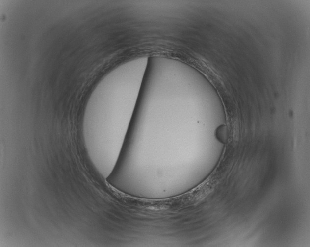 X0000083000737200702011209