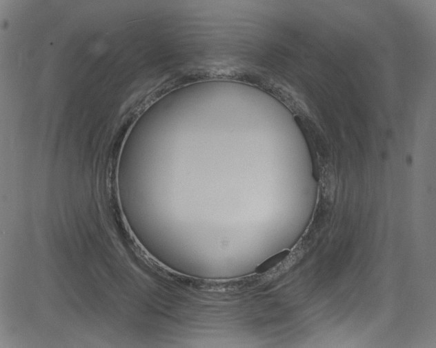 X0000083000740200702011209
