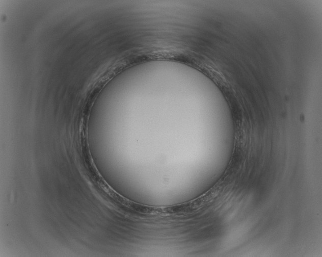 X0000083000742200702011209