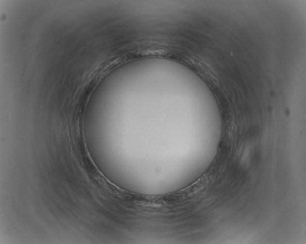 X0000083000743200702011209