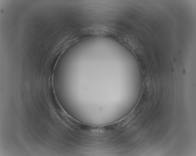 X0000083000744200702011209