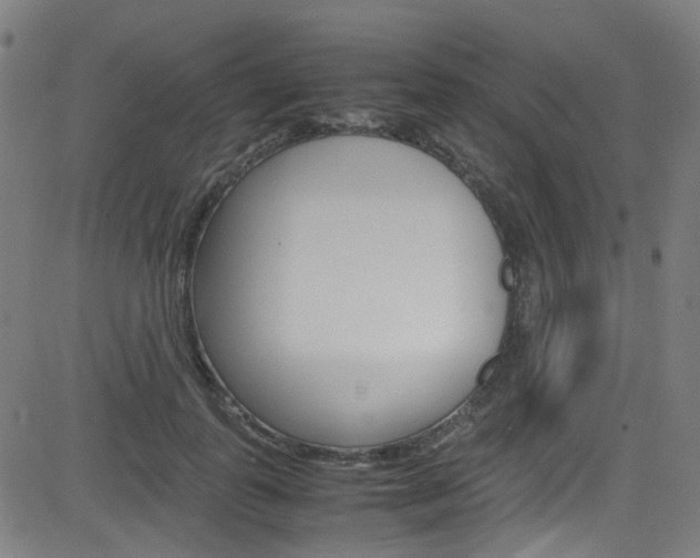 X0000083000747200702011209