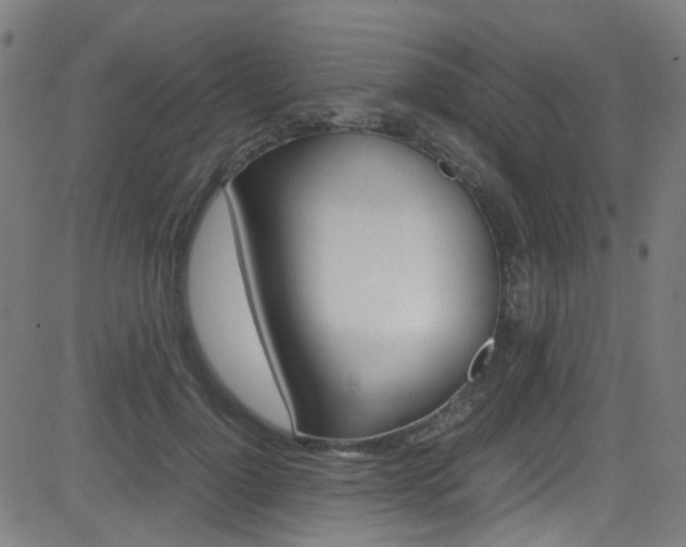 X0000083000748200702011209