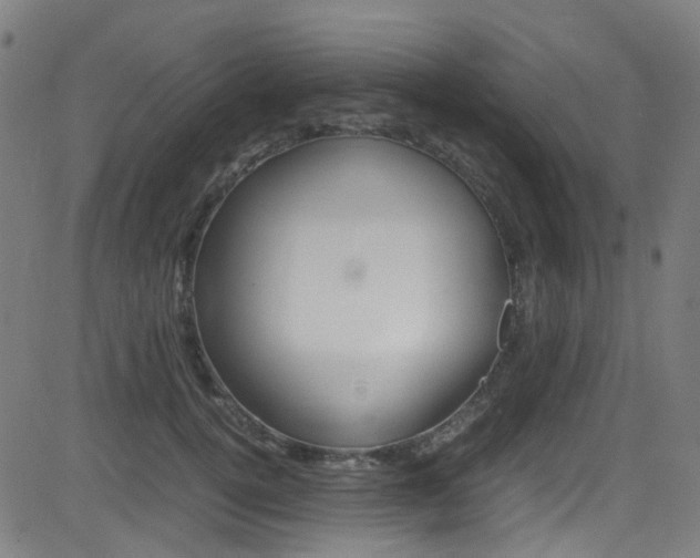 X0000083000752200702011209