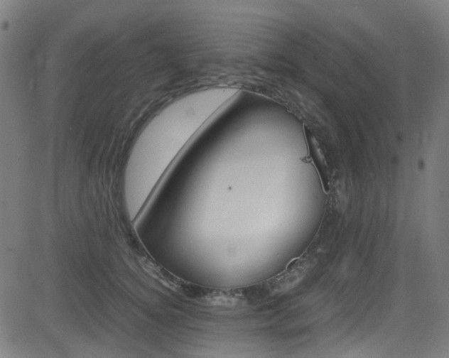 X0000083000756200702011209