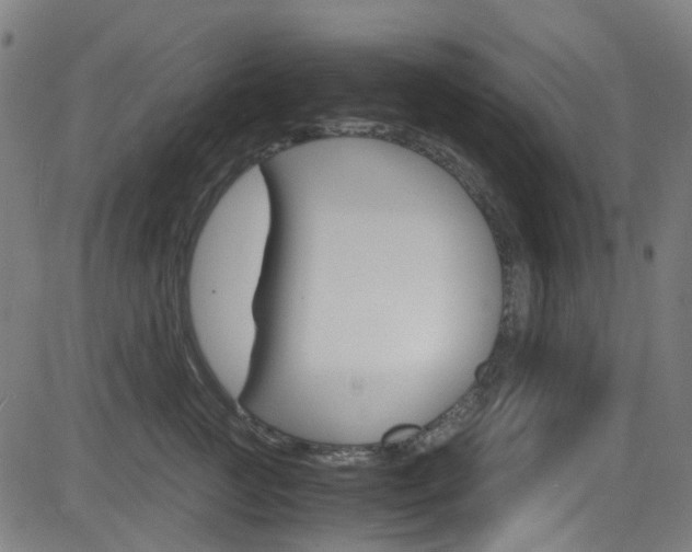 X0000083000761200702011209