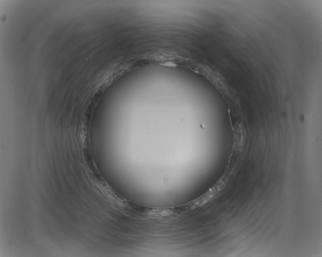 X0000083000762200702011209