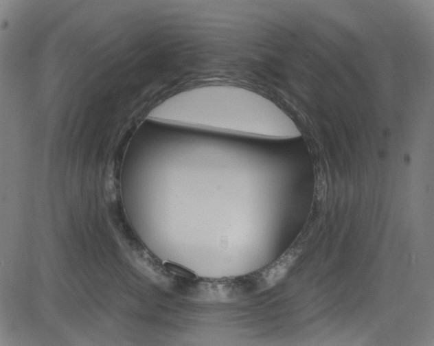X0000083000764200702011209