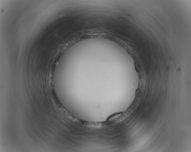 X0000083000767200702011209