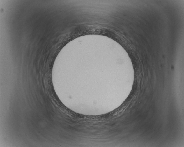 X0000083000769200702011208