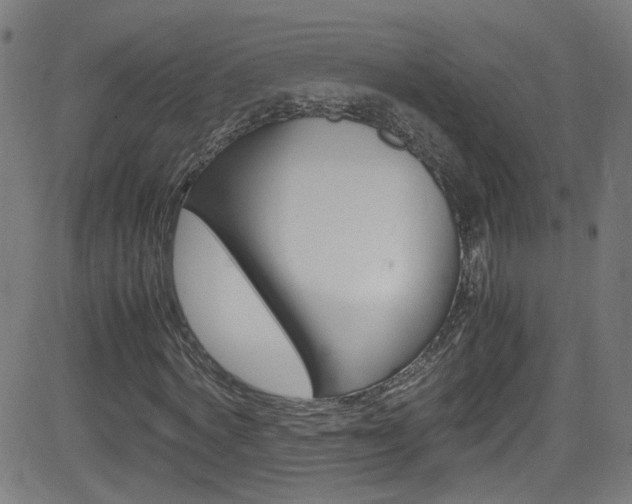X0000083000772200702011208