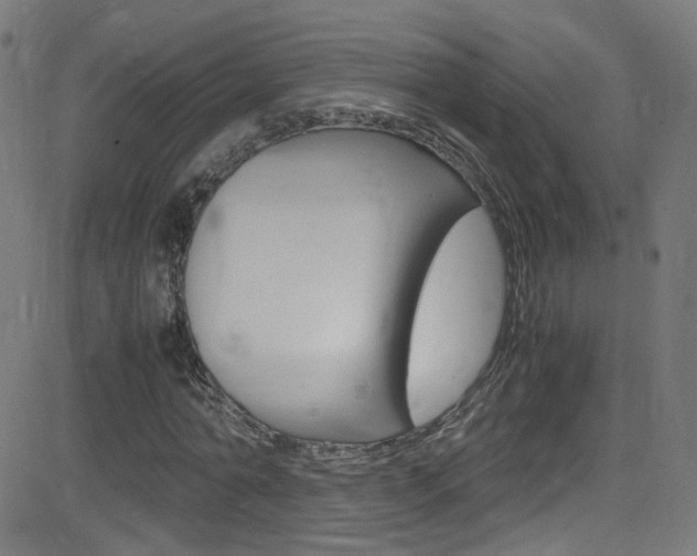 X0000083000774200702011208