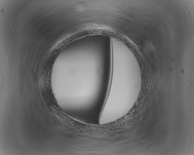 X0000083000775200702011208