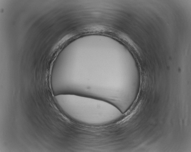 X0000083000778200702011208