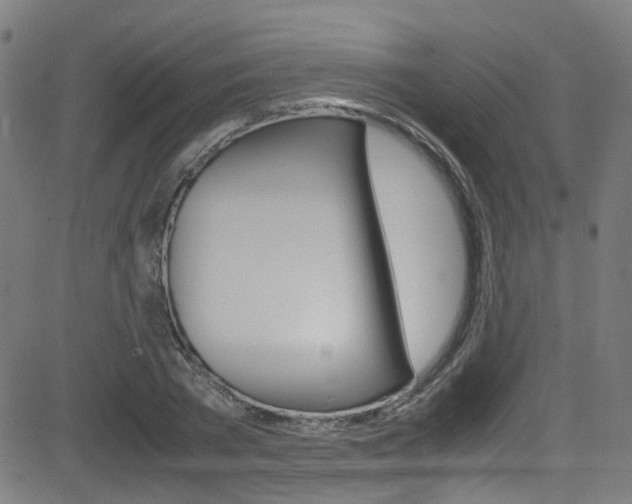 X0000083000785200702011208