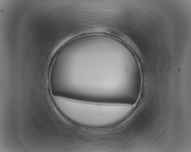 X0000083000789200702011208