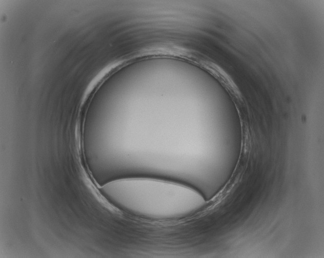 X0000083000796200702011208