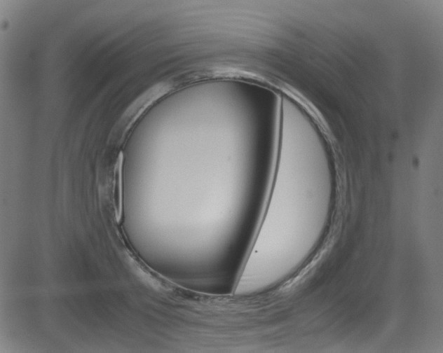X0000083000801200702011208