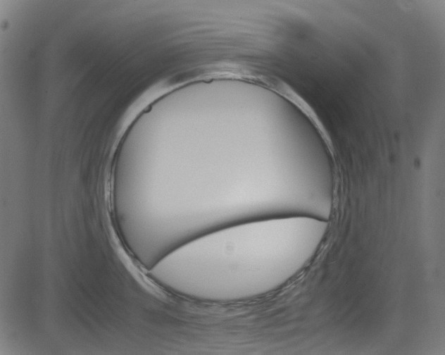 X0000083000811200702011208