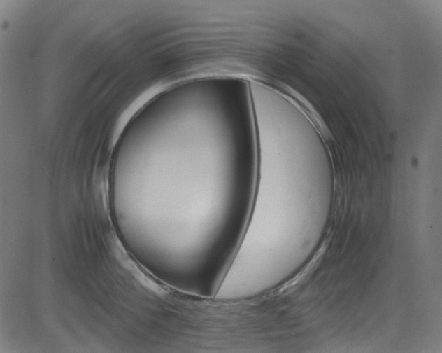 X0000083000812200702011208