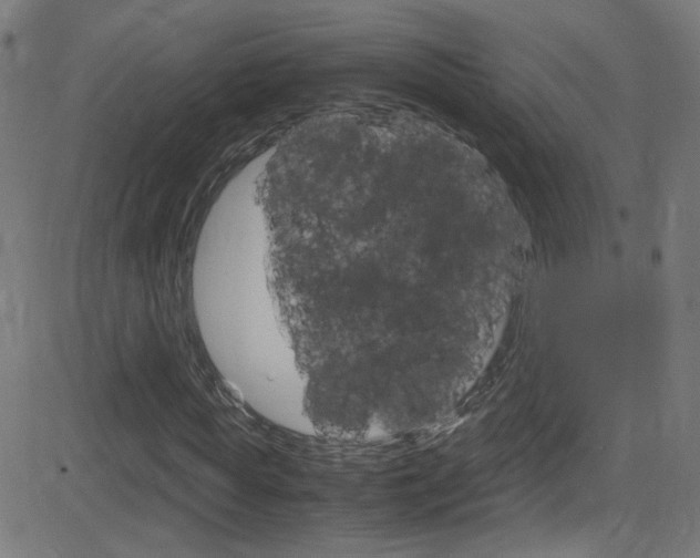 X0000083000819200702011207