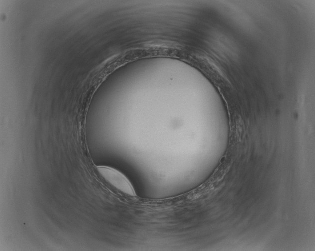 X0000083000821200702011207