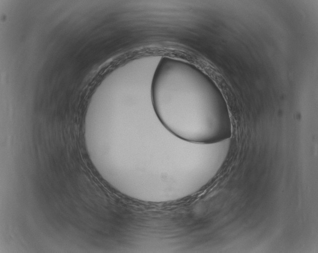 X0000083000822200702011207