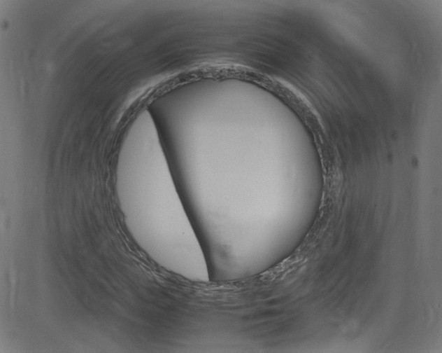X0000083000823200702011207