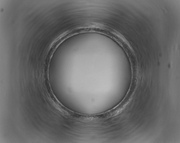 X0000083000826200702011207