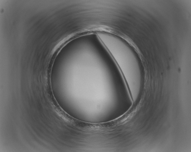 X0000083000834200702011207