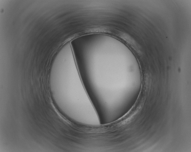X0000083000841200702011207