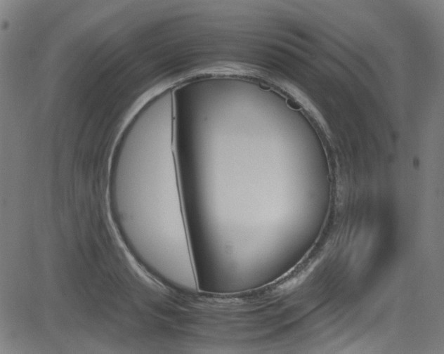 X0000083000845200702011207