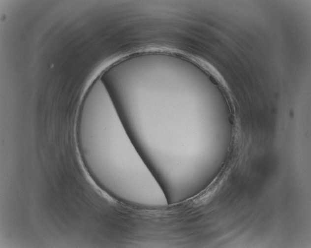 X0000083000847200702011207