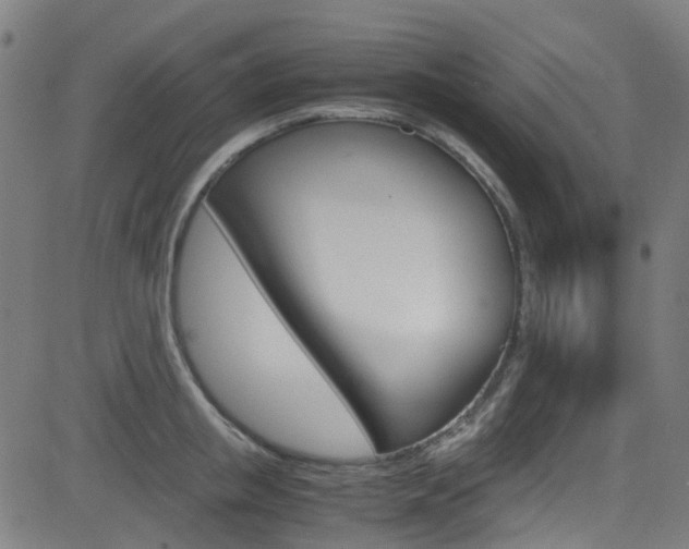X0000083000853200702011207