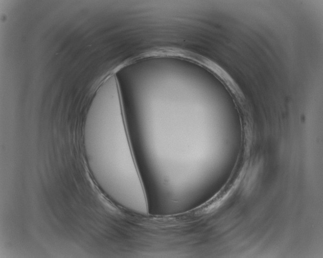 X0000083000857200702011207