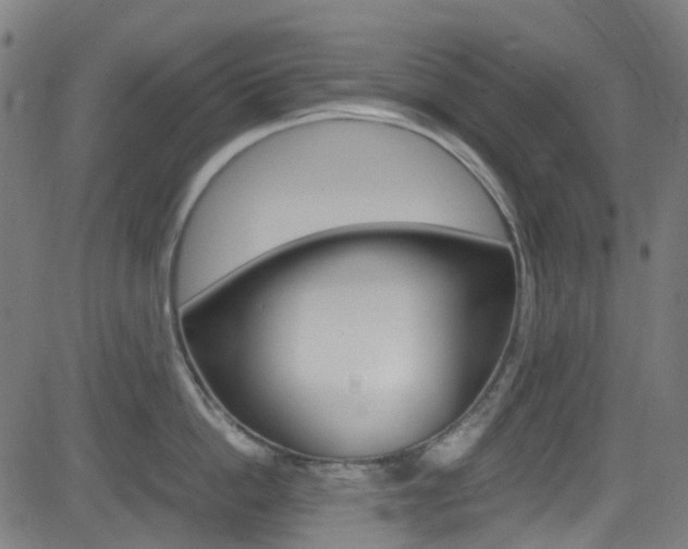 X0000083000862200702011207