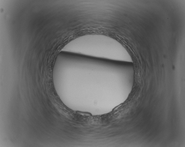 X0000083000865200702011207
