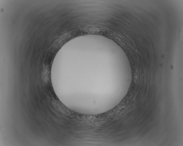 X0000083000866200702011207