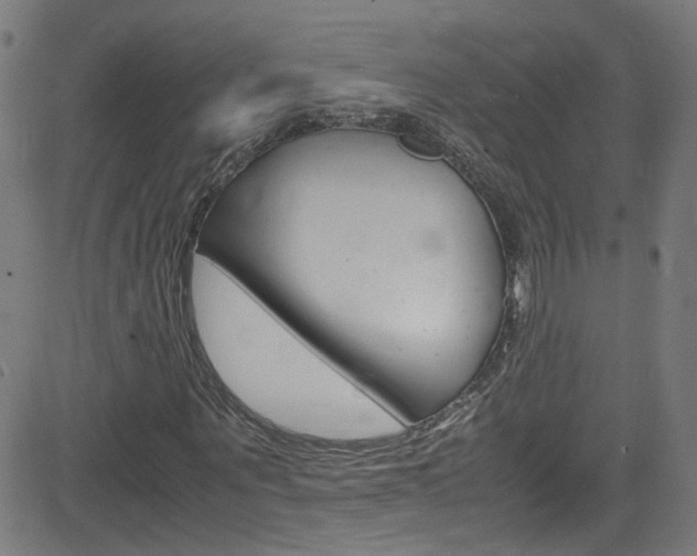 X0000083000867200702011207