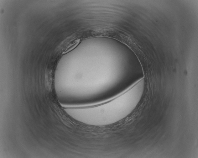 X0000083000868200702011207