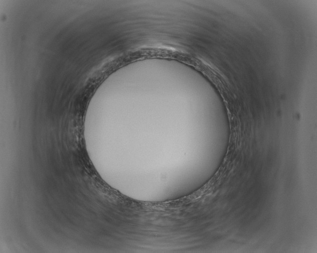 X0000083000870200702011207