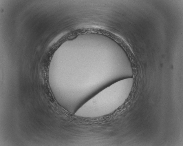 X0000083000871200702011207
