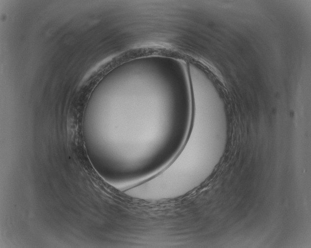 X0000083000872200702011207