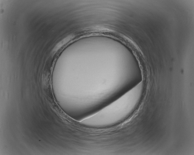 X0000083000873200702011207