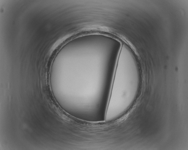 X0000083000877200702011206