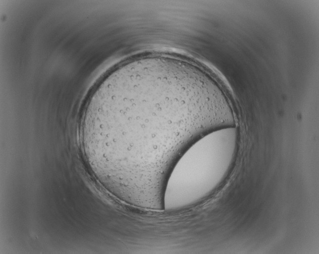 X0000083000887200702011206