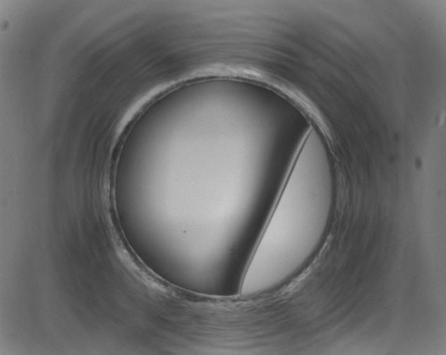 X0000083000896200702011206