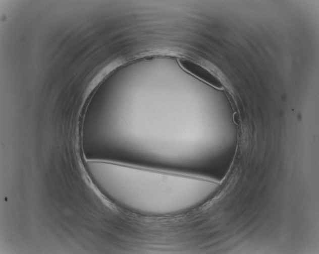 X0000083000898200702011206